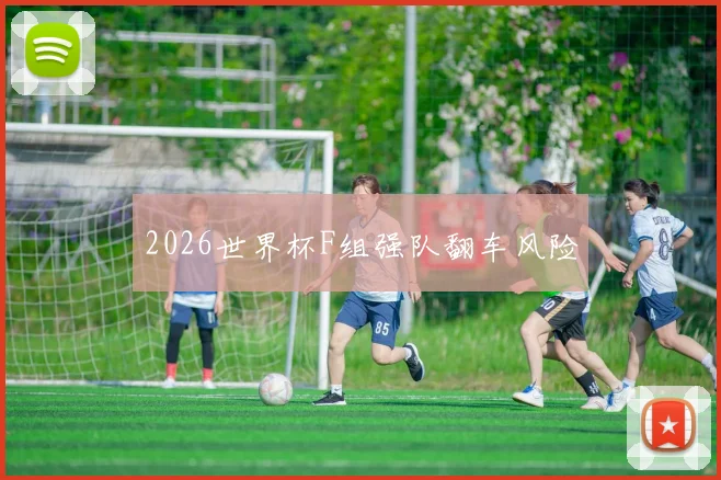 2026世界杯F组强队翻车风险