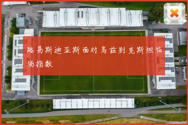 路易斯迪亚斯面对乌兹别克斯坦临场指数