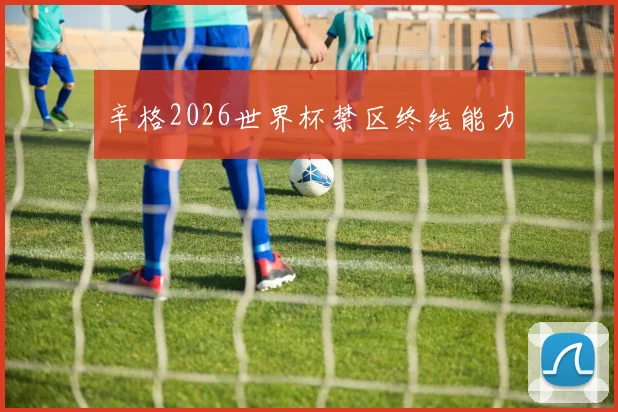 辛格2026世界杯禁区终结能力