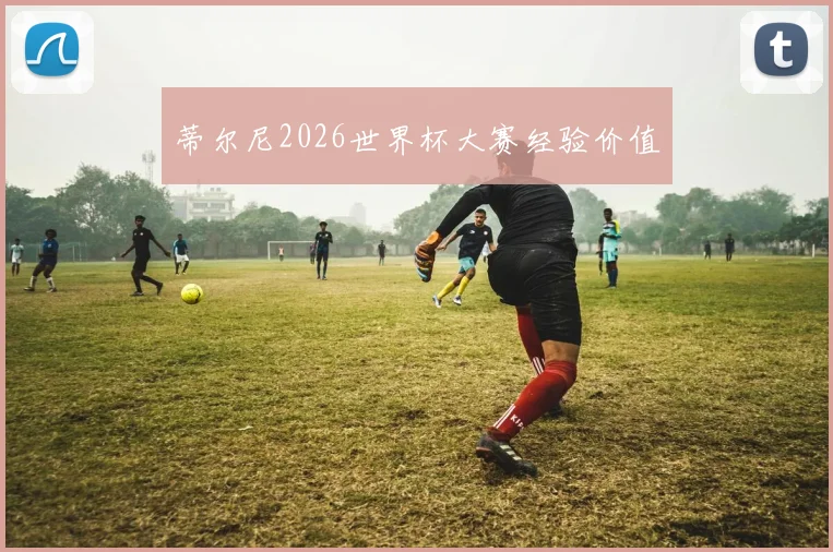 蒂尔尼2026世界杯大赛经验价值