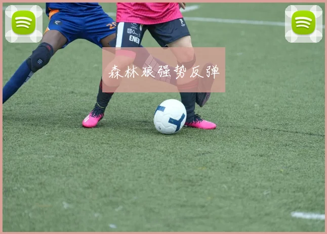 森林狼强势反弹