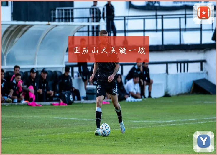 亚历山大关键一战
