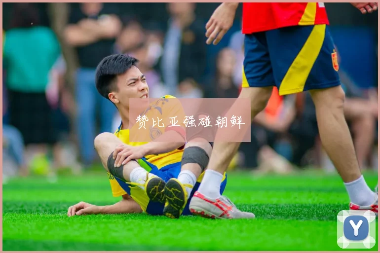 赞比亚强碰朝鲜