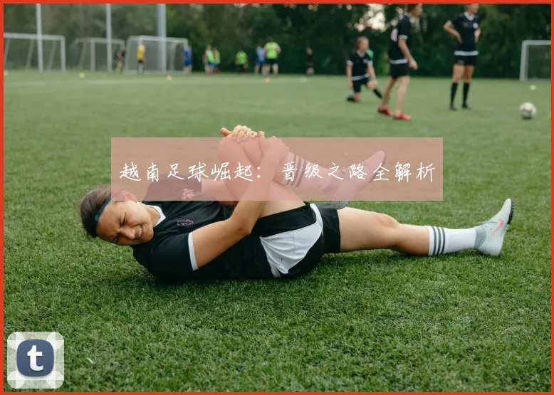 越南足球崛起：晋级之路全解析