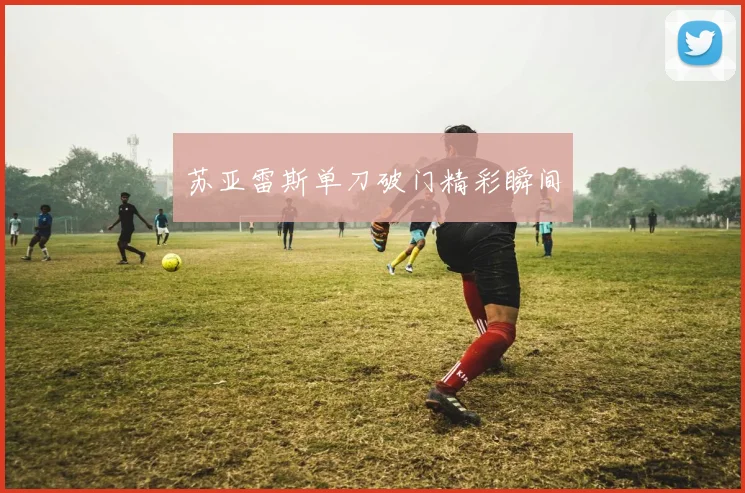 苏亚雷斯单刀破门精彩瞬间