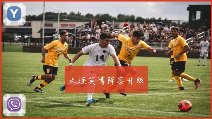大连英博阵容升级