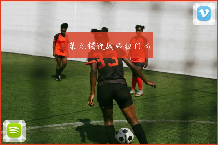 莱比锡迎战弗拉门戈