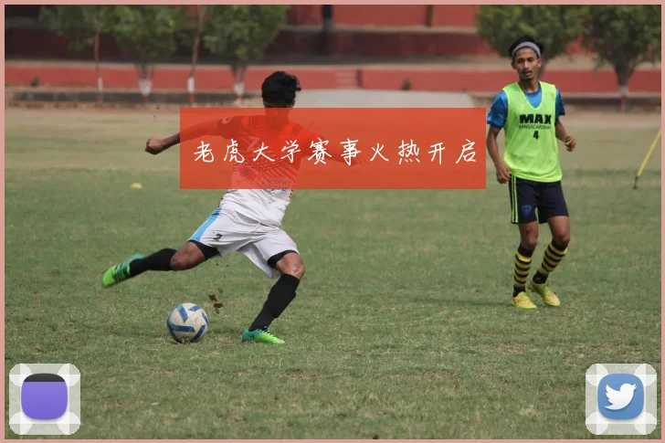 老虎大学赛事火热开启