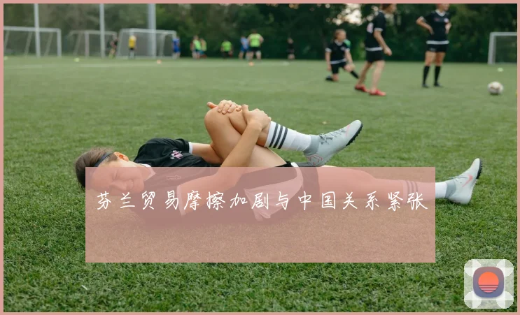 芬兰贸易摩擦加剧与中国关系紧张