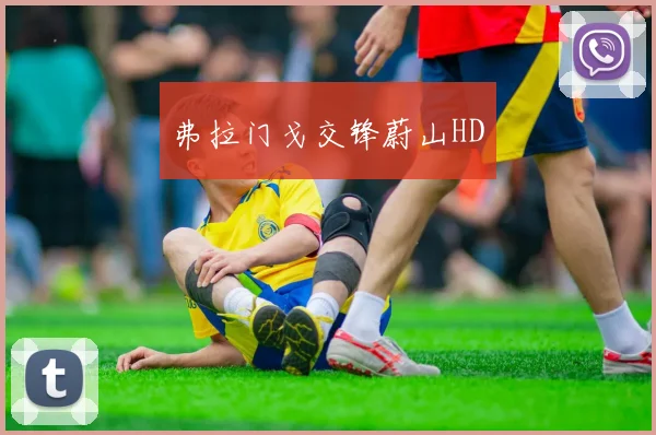 弗拉门戈交锋蔚山HD