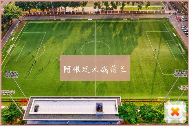 阿根廷大战荷兰