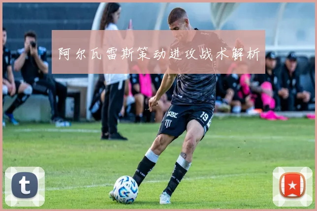 阿尔瓦雷斯策动进攻战术解析
