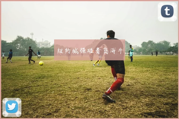 纽约城强碰青岛海牛