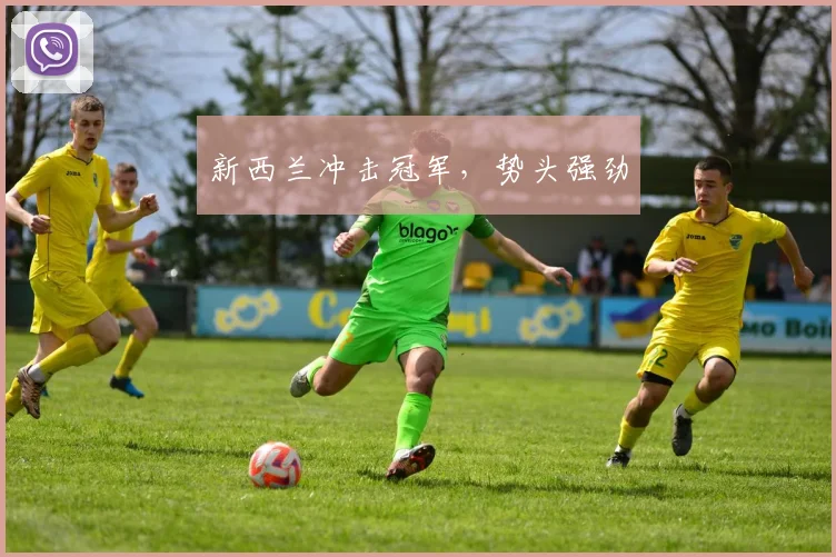 新西兰冲击冠军，势头强劲