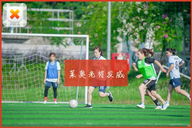 莱奥老将发威