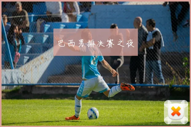 巴西男排决赛之夜