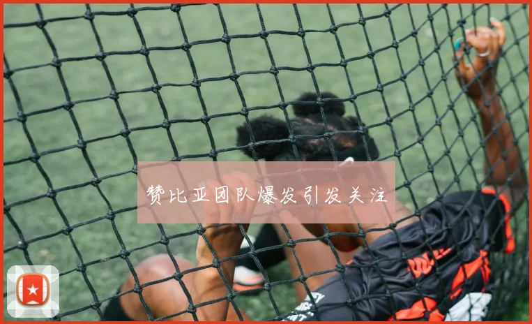 赞比亚团队爆发引发关注