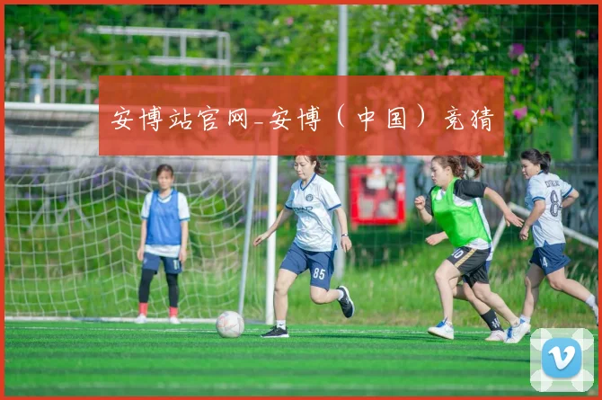 安博站官网_安博（中国）竞猜
