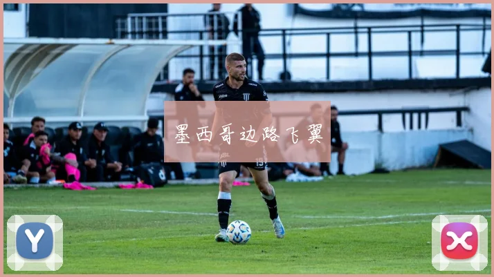 墨西哥边路飞翼