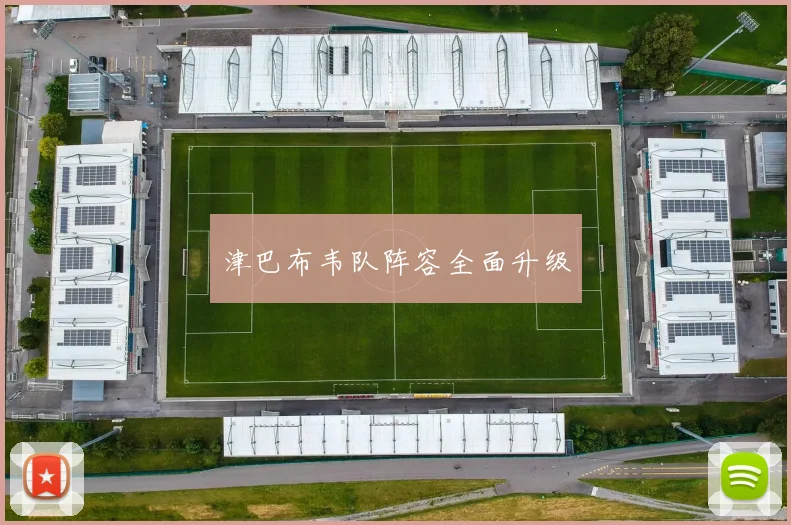 津巴布韦队阵容全面升级