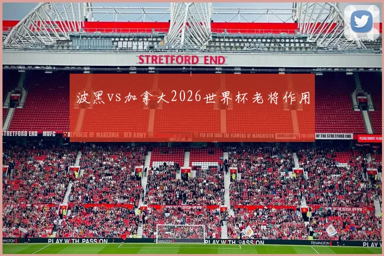 波黑vs加拿大2026世界杯老将作用