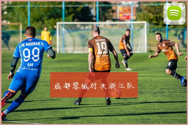 成都蓉城对决浙江队