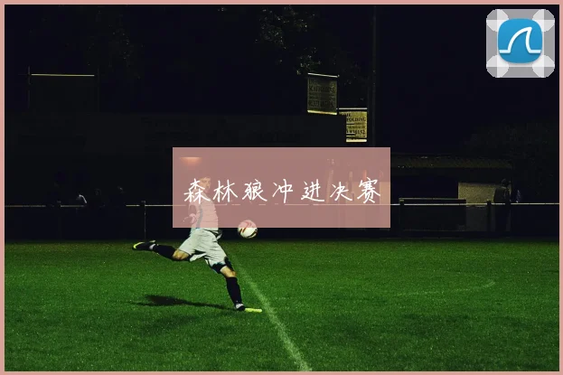 森林狼冲进决赛