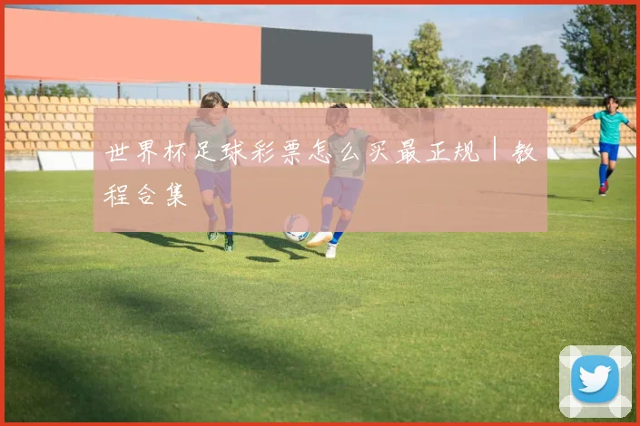 世界杯足球彩票怎么买最正规｜教程合集