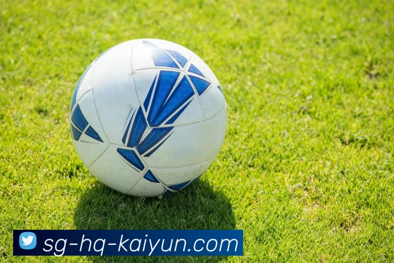 开云Kaiyun电子综合app平台生态图