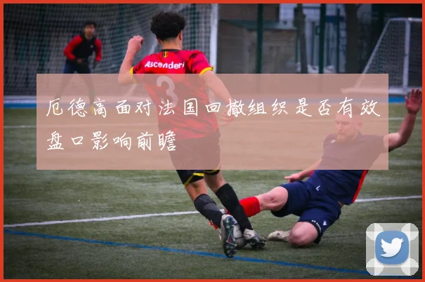 厄德高面对法国回撤组织是否有效盘口影响前瞻