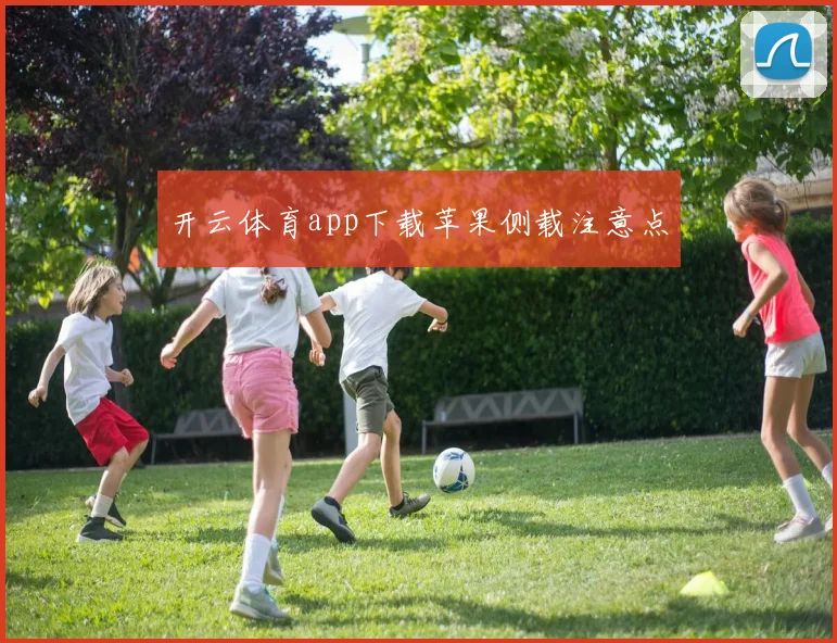 开云体育app下载苹果侧载注意点